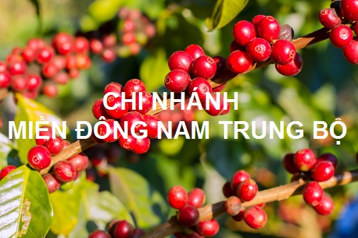 Chi Nhánh Miền Đông Nam Trung Bộ