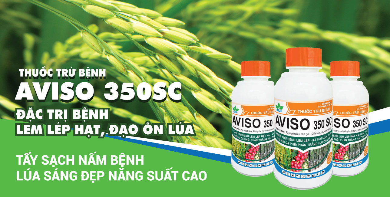 THUỐC TRỪ BỆNH AVISO 350SC TẨY SẠCH NẤM BỆNH - LÚA SÁNG ĐẸP NĂNG SUẤT CAO