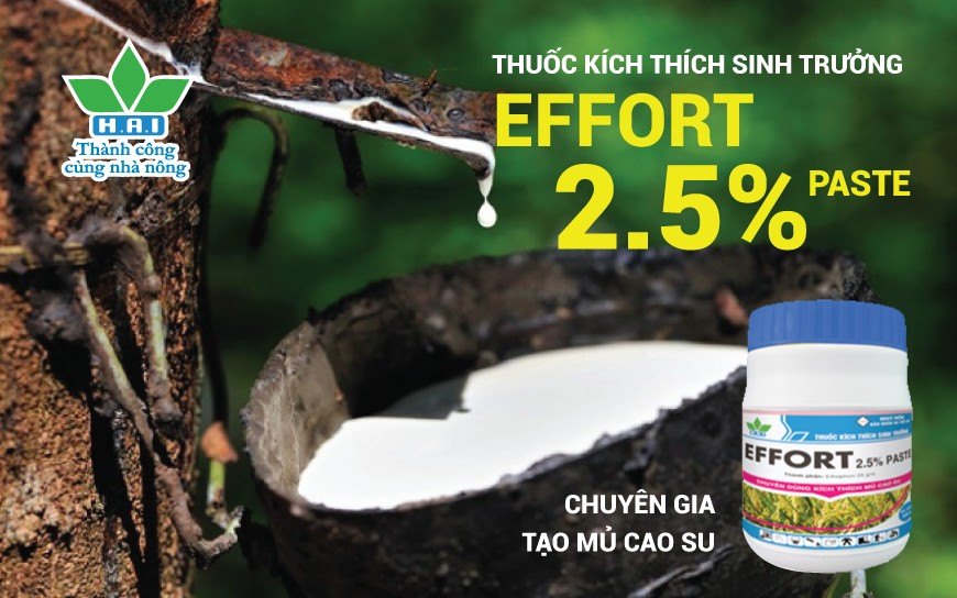 THUỐC KÍCH THÍCH SINH TRƯỞNG EFFORT 2.5% PASTE - CHUYÊN GIA TẠO MỦ CAO SU