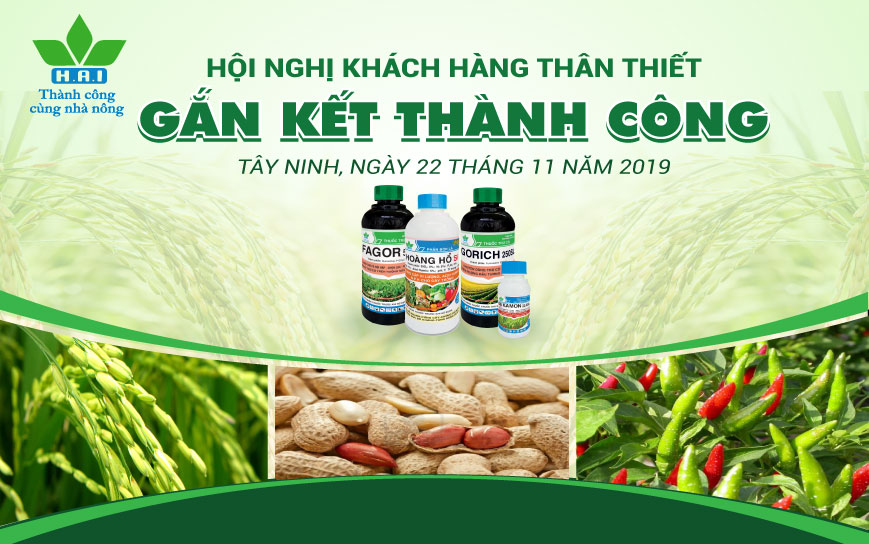 HỘI NGHỊ KHÁCH HÀNG THÂN THIẾT KHU VỰC MIỀN ĐÔNG - TÂY NGUYÊN