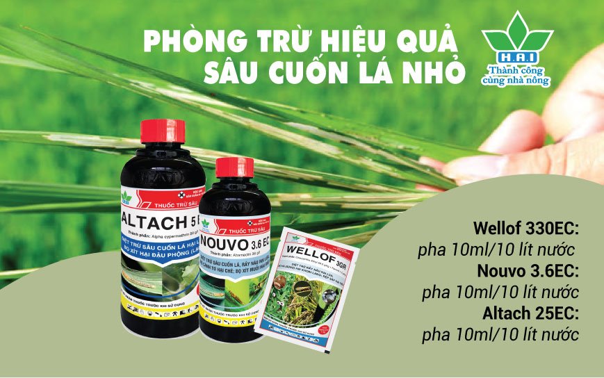 PHÒNG TRỪ HIỆU QUẢ SÂU CUỐN LÁ NHỎ