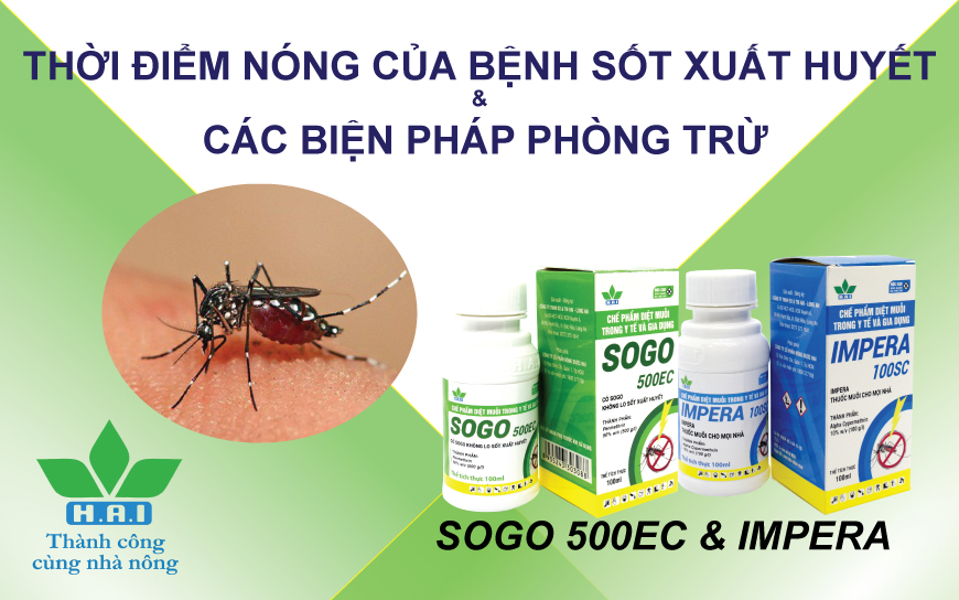 THỜI ĐIỂM NÓNG CỦA BỆNH SỐT XUẤT HUYẾT & CÁC BIỆN PHÁP PHÒNG TRỪ