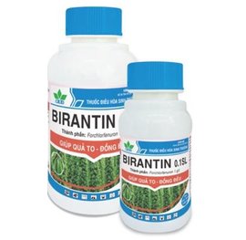 T. KTST BIRANTIN 0,1SL