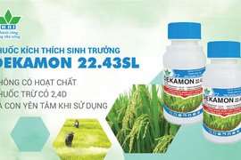 THUỐC KÍCH THÍCH SINH TRƯỞNG DEKAMON 22.34SL