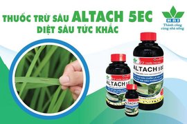 THUỐC TRỪ SÂU ALTACH 5EC - DIỆT SÂU TỨC KHẮC