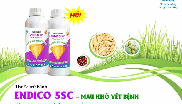 NÔNG DƯỢC HAI RA MẮT SẢN PHẨM THUỐC TRỪ BỆNH ENDICO 5SC - MAU KHÔ VẾT BỆNH