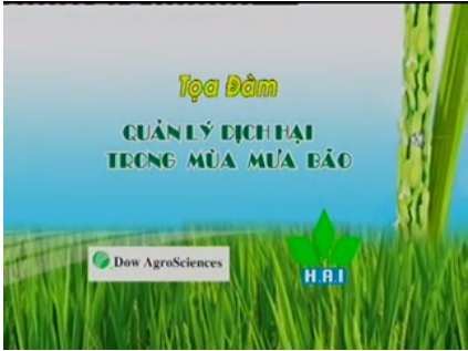 Tọa đàm quản lý dịch hại trên lúa trong mùa mưa bão tại Sóc Trăng