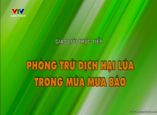 Tọa đàm quản lý dịch hại trên lúa trong mùa mưa bão tại Cần Thơ