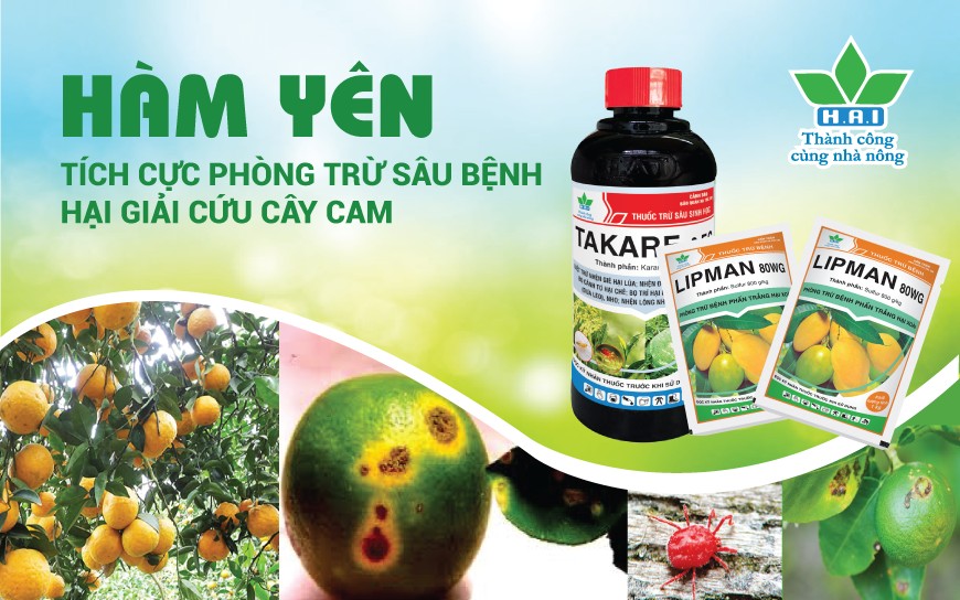 HÀM YÊN TÍCH CỰC PHÒNG TRỪ SÂU BỆNH HẠI GIẢI CỨU CÂY CAM