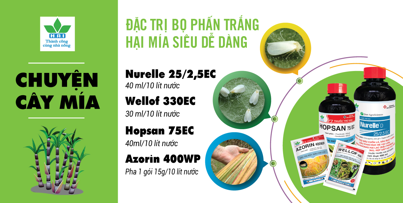 ĐẶC TRỊ BỌ PHẤN TRẮNG TRÊN MÍA DỄ DÀNG