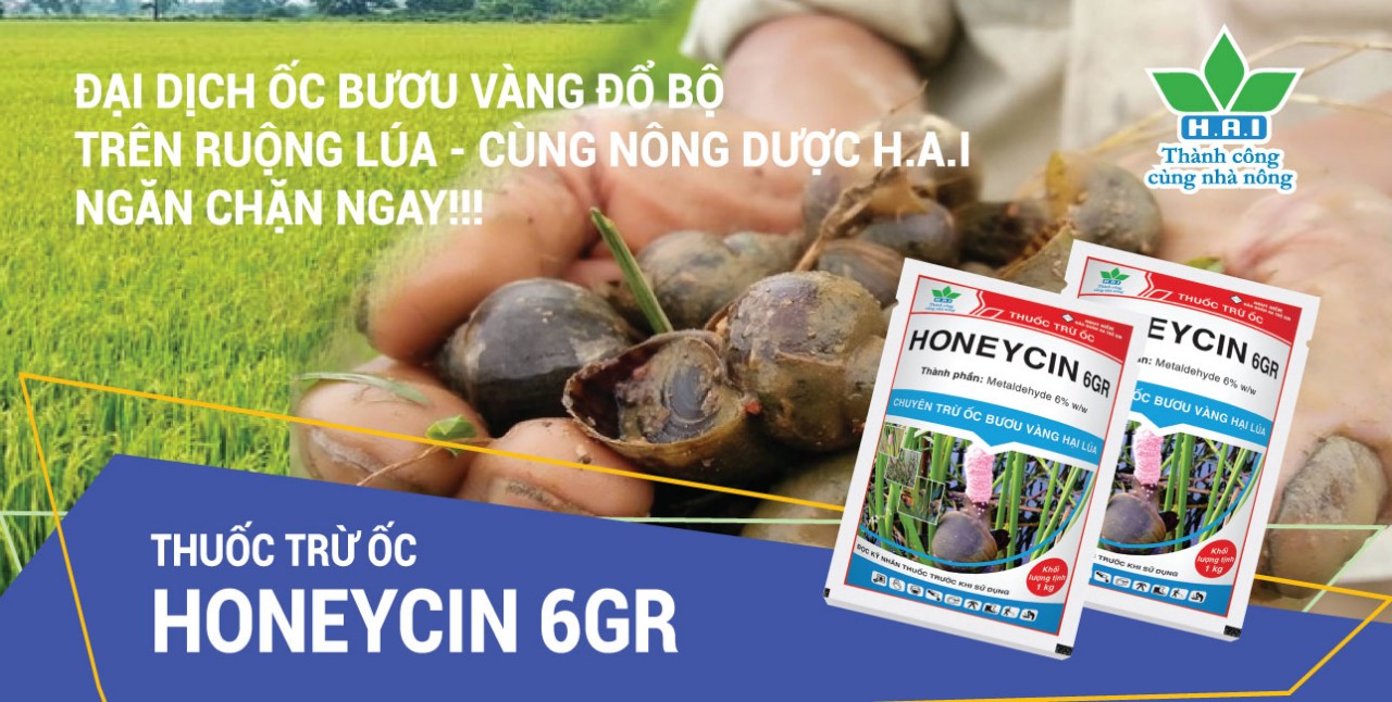 ĐẠI DỊCH ỐC BƯƠU VÀNG ĐỔ BỘ TRÊN RUỘNG LÚA - CÙNG NÔNG DƯỢC H.A.I NGĂN CHẶN NGAY!!!