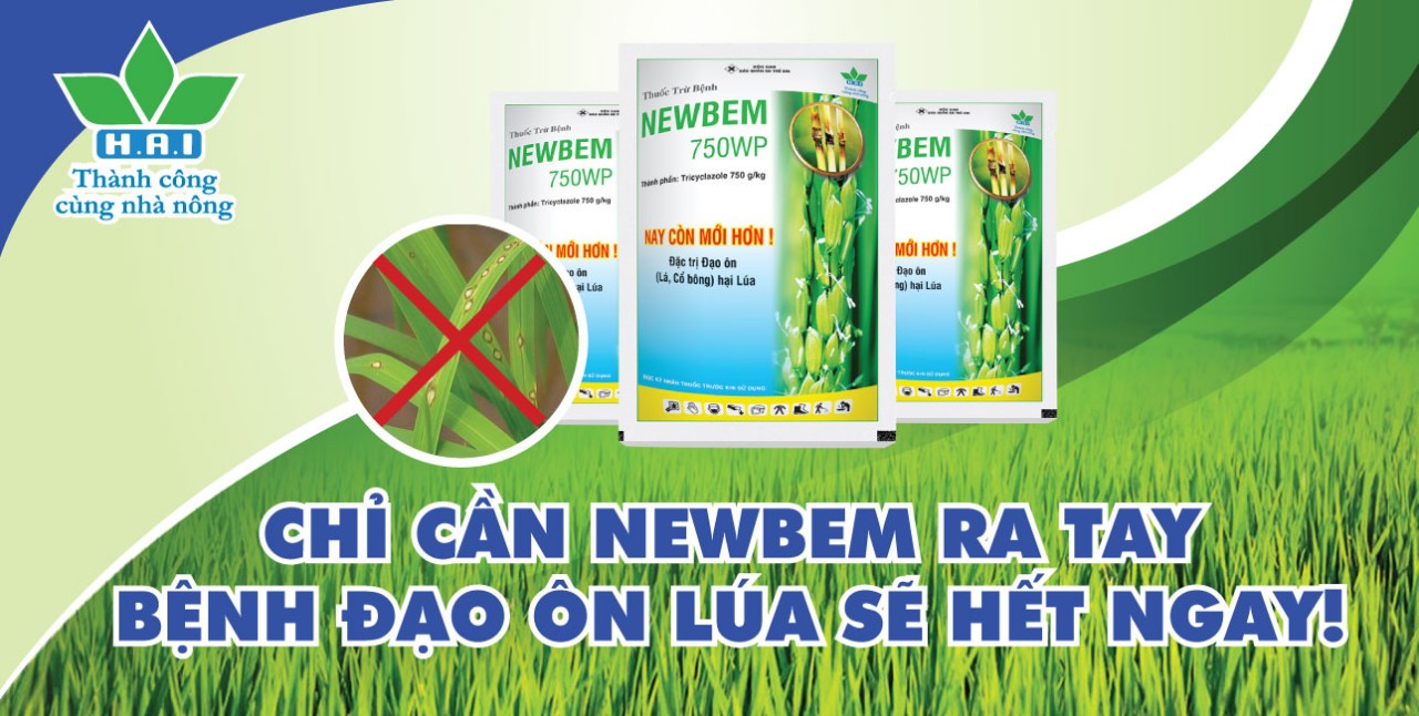 CHỈ CẦN NEWBEM RA TAY, BỆNH ĐẠO ÔN LÚA SẼ HẾT NGAY!