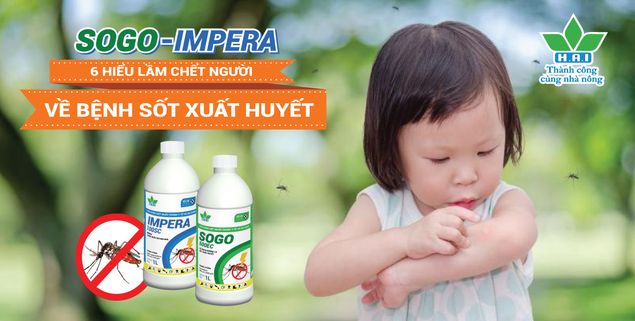 6 HIỂU LẦM CHẾT NGƯỜI VỀ BỆNH SỐT XUẤT HUYẾT