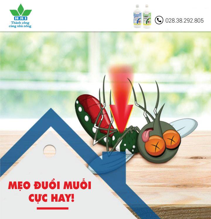 MẸO NHỎ ĐUỔI MUỖI CỰC HAY