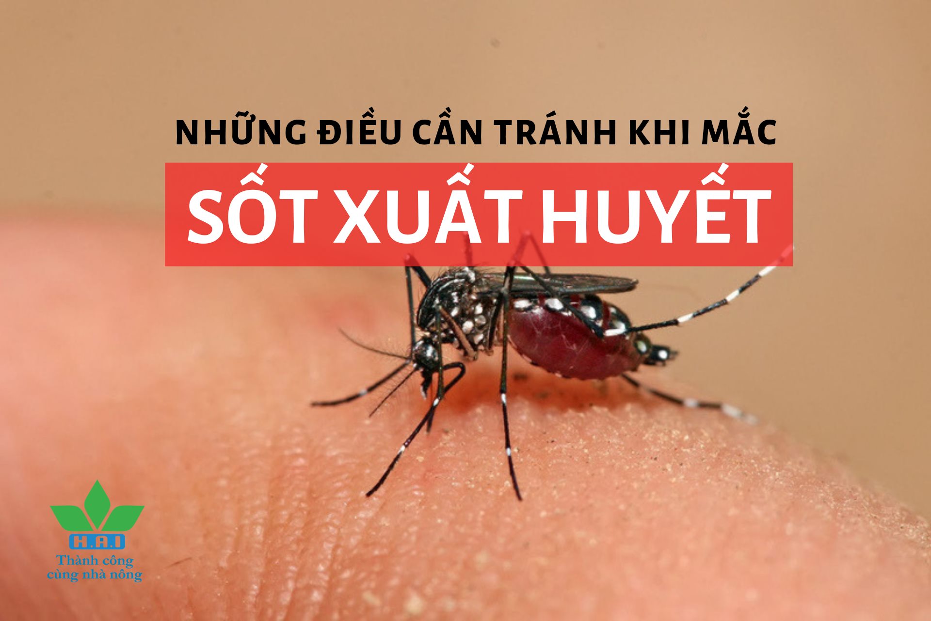 NHỮNG ĐIỀU CẦN TRÁNH KHI MẮC SỐT XUẤT HUYẾT