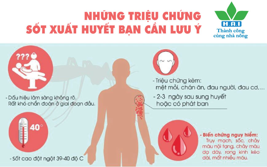 10 TRIỆU CHỨNG SỐT XUẤT HUYẾT BẠN CẦN LƯU Ý