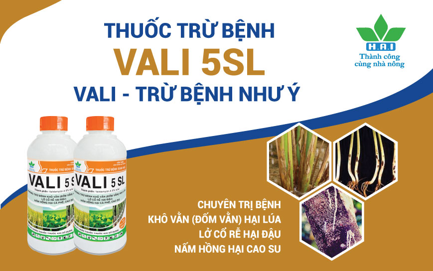 THUỐC TRỪ BỆNH VALI 5SL - TRỪ BỆNH NHƯ Ý