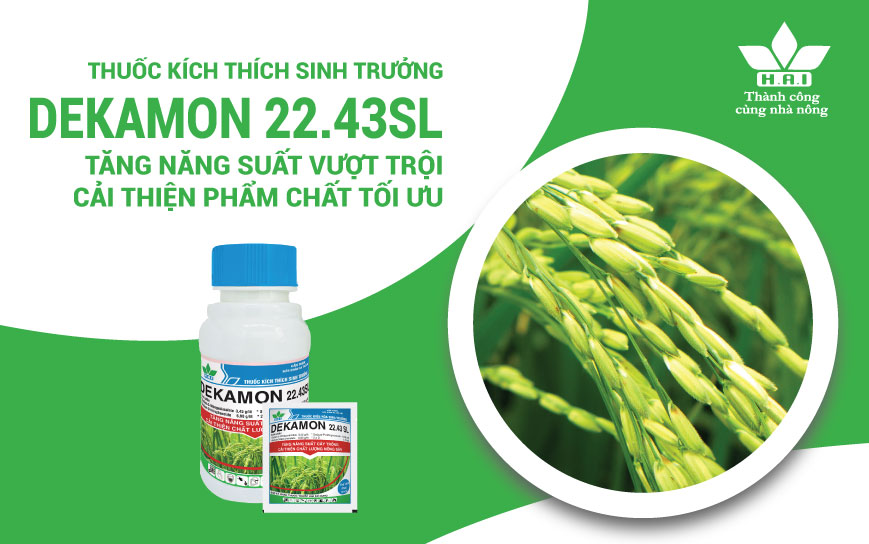 THUỐC KÍCH THÍCH SINH TRƯỞNG DEKAMON 22.43SL TĂNG NĂNG SUẤT VƯỢT TRỘI - CẢI THIỆN PHẨM CHẤT TỐI ƯU