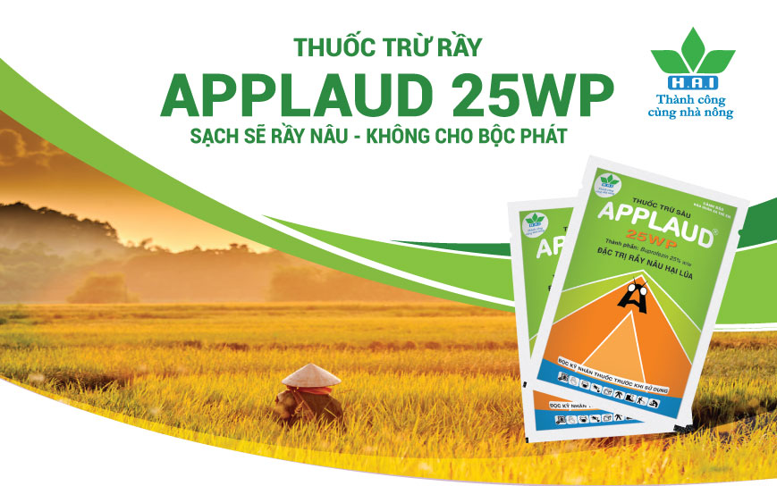 THUỐC TRỪ RẦY APPLAUD 25WP SẠCH SẼ RẦY NÂU - KHÔNG CHO BỘC PHÁT