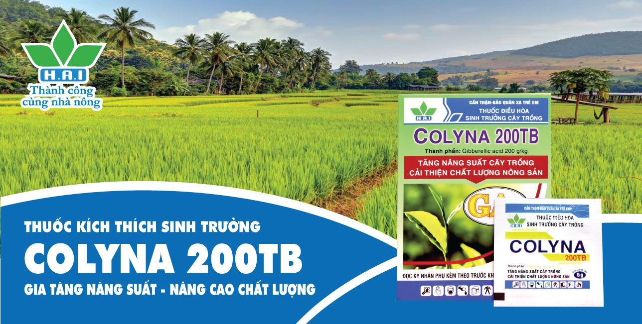 THUỐC KÍCH THÍCH SINH TRƯỞNG COLYNA 200TB GIA TĂNG NĂNG SUẤT - NÂNG CAO CHẤT LƯỢNG