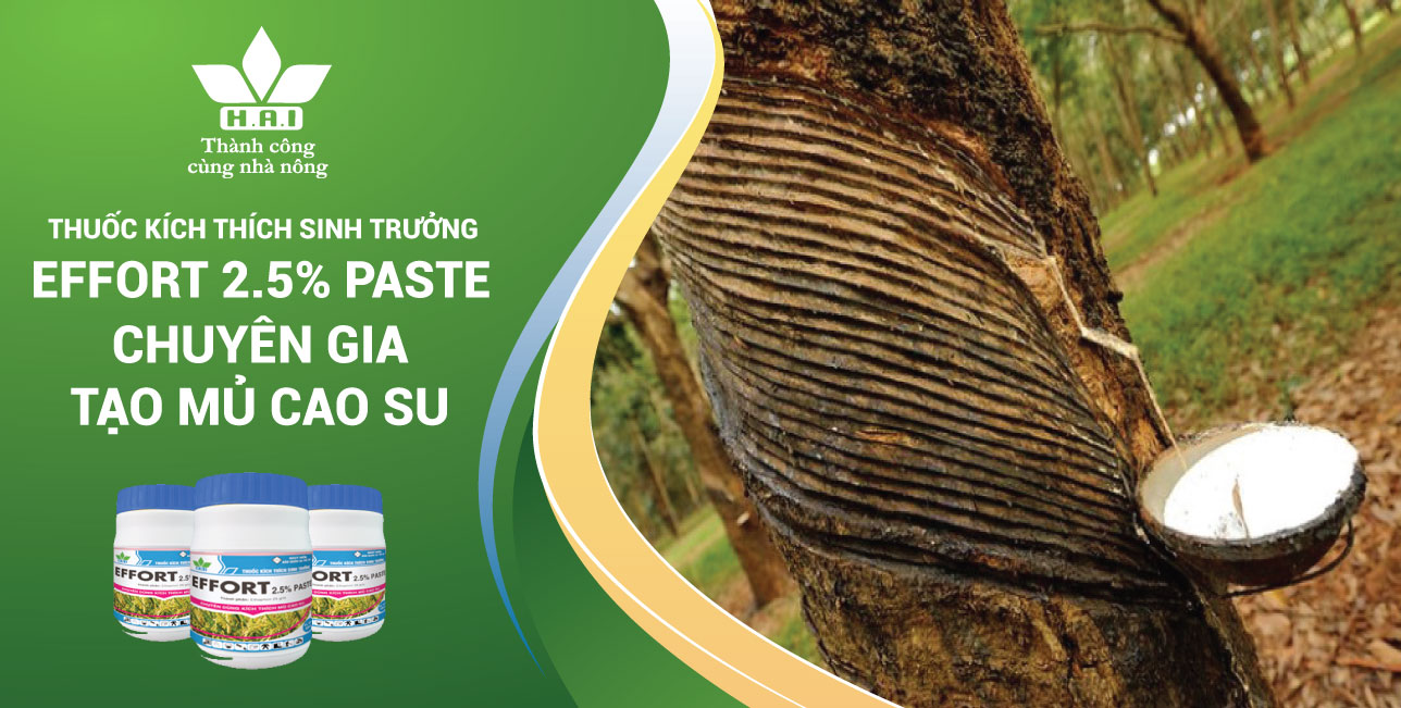 THUỐC KÍCH THÍCH SINH TRƯỞNG EFFORT 2.5% PASTE - CHUYÊN GIA TẠO MỦ CAO SU