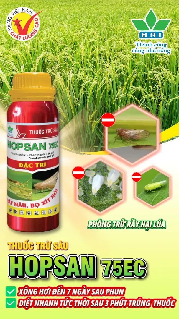 HAI – Khẳng định vị thế cùng Hàng Việt Nam Chất Lượng Cao 2026